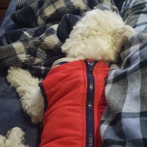 Meet your Posher, Jesus